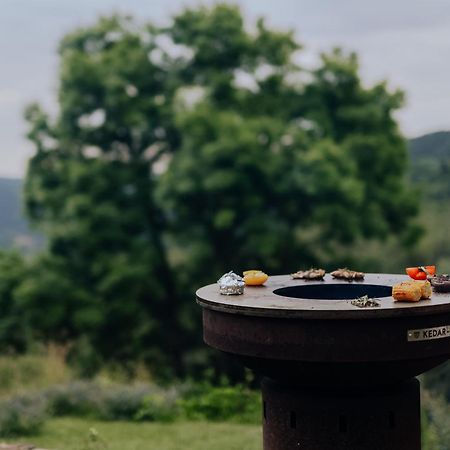 Apartmány Nad Šlikovkou Jáchymov Esterno foto