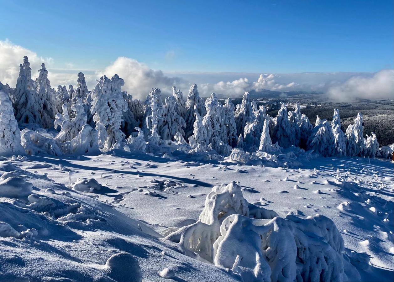 Apartmány Nad Šlikovkou Jáchymov Esterno foto