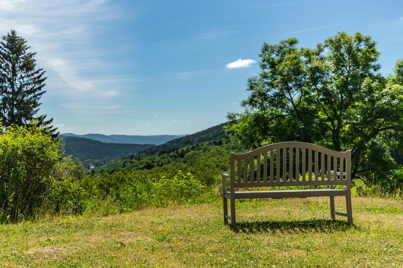 Apartmány Nad Šlikovkou Jáchymov Esterno foto